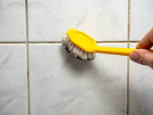 Best Home Mold Removal  in West Falmouth, MA