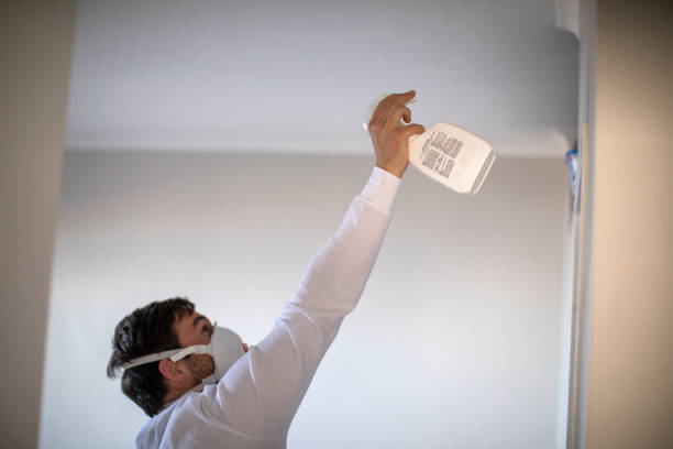 Best Office Mold Removal Services  in West Falmouth, MA