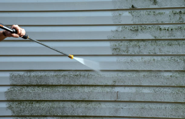 Best Commercial Mold Removal  in West Falmouth, MA