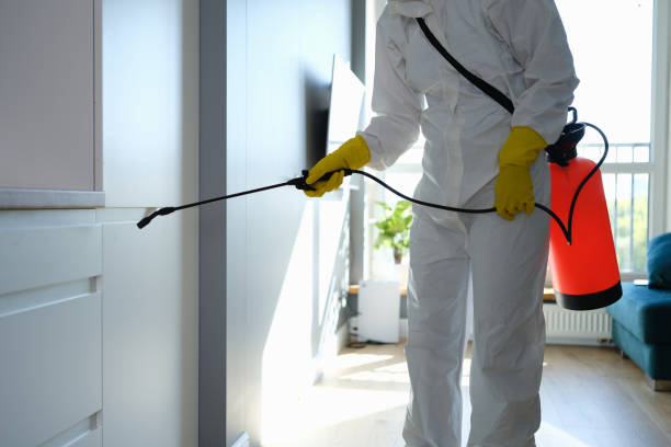 Best Residential Mold Removal  in West Falmouth, MA