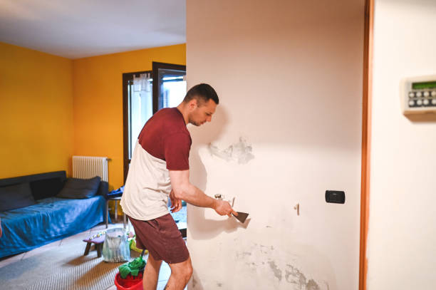 Best Crawl Space Mold Removal  in West Falmouth, MA
